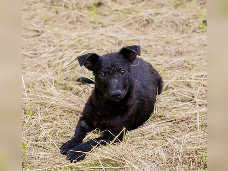 Sally – kleine Frohnatur sucht großes Herz ❤️