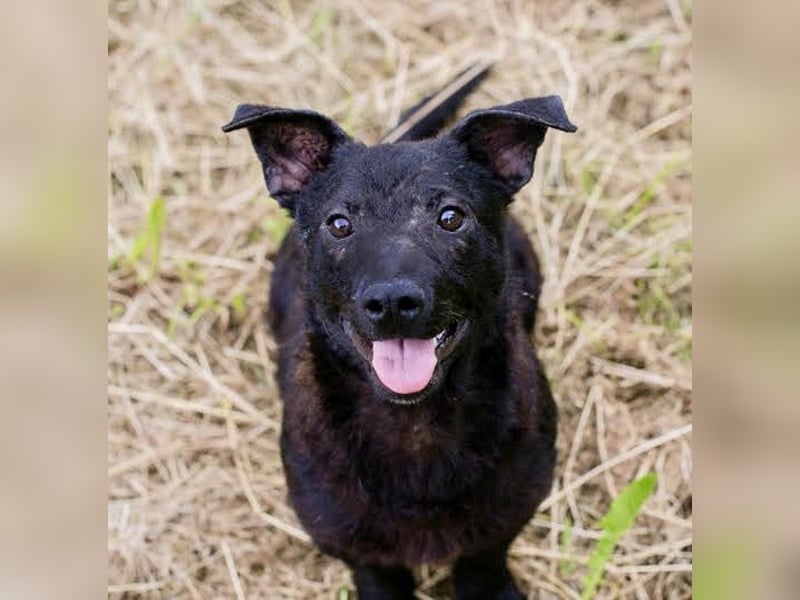 Sally – kleine Frohnatur sucht großes Herz ❤️