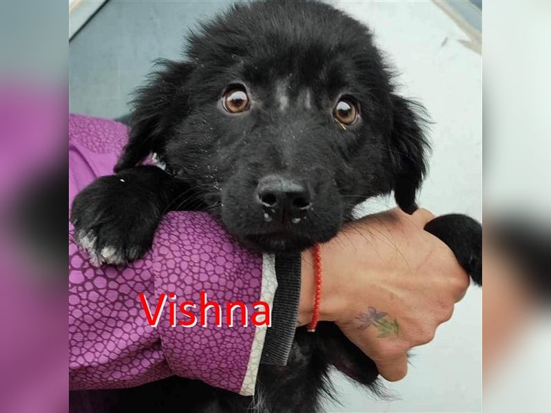 VISHNA ❤  wartet in 26931 Elsfleth auf Dich