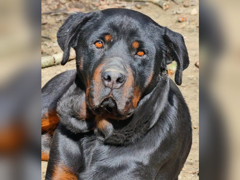 Cleo mag kleine und große Menschen