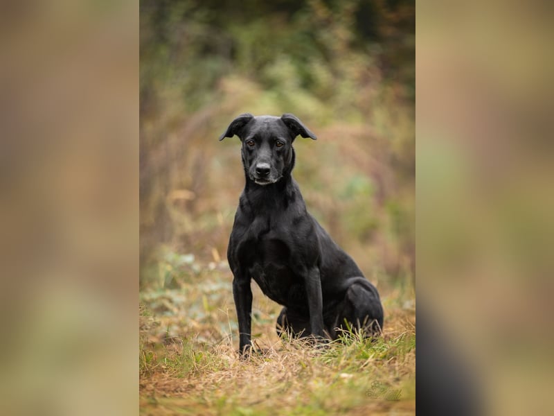 Labra sehnt sich nach menschlicher Zuneigung