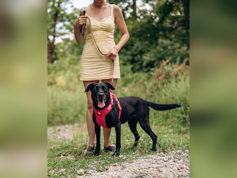 Labra sehnt sich nach menschlicher Zuneigung