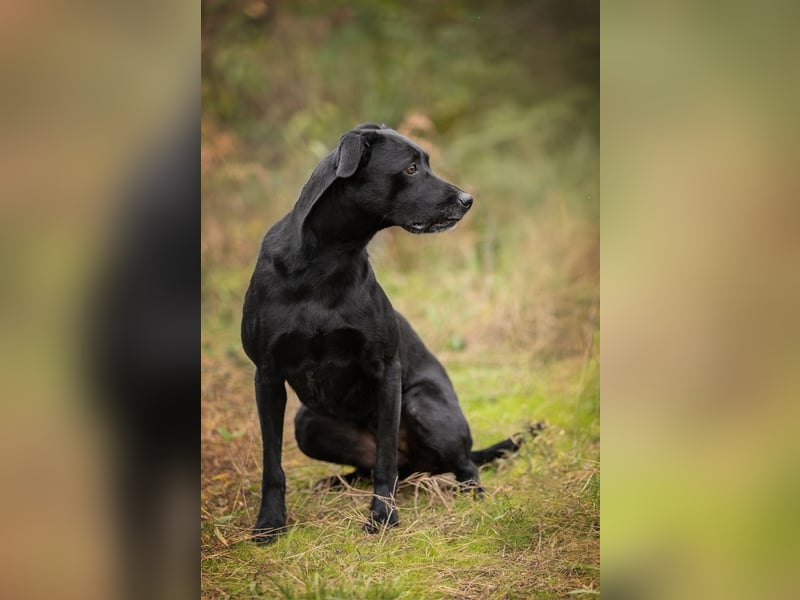 Labra sehnt sich nach menschlicher Zuneigung