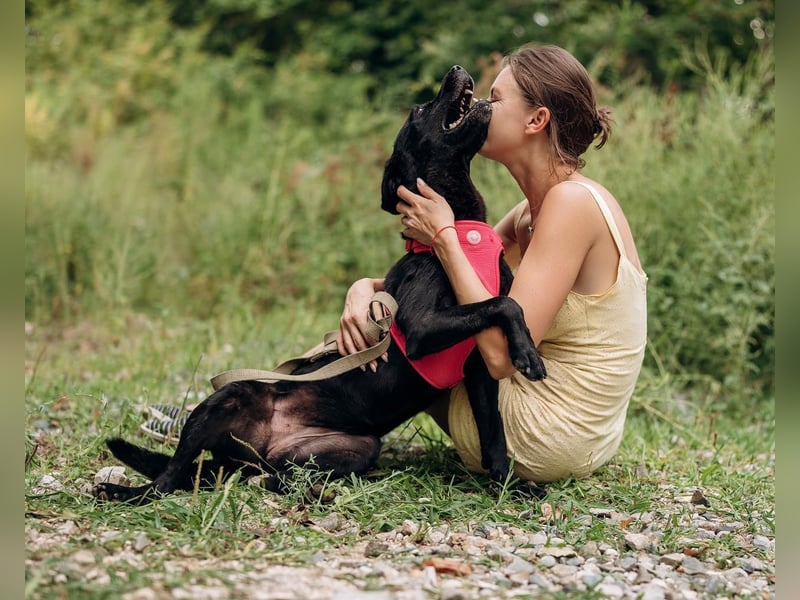 Labra sehnt sich nach menschlicher Zuneigung