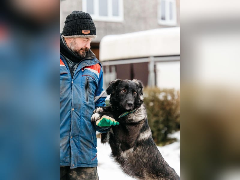 Vorsichtige Tama sucht ihre Menschen