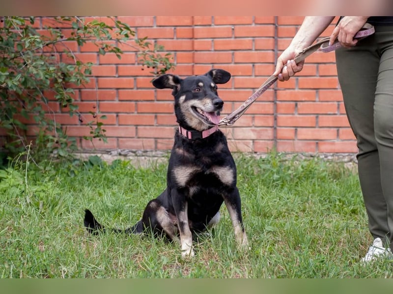 Lime - Lebensfreude pur (Ukraine)