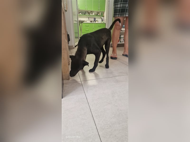 Yana sucht ihr Glück