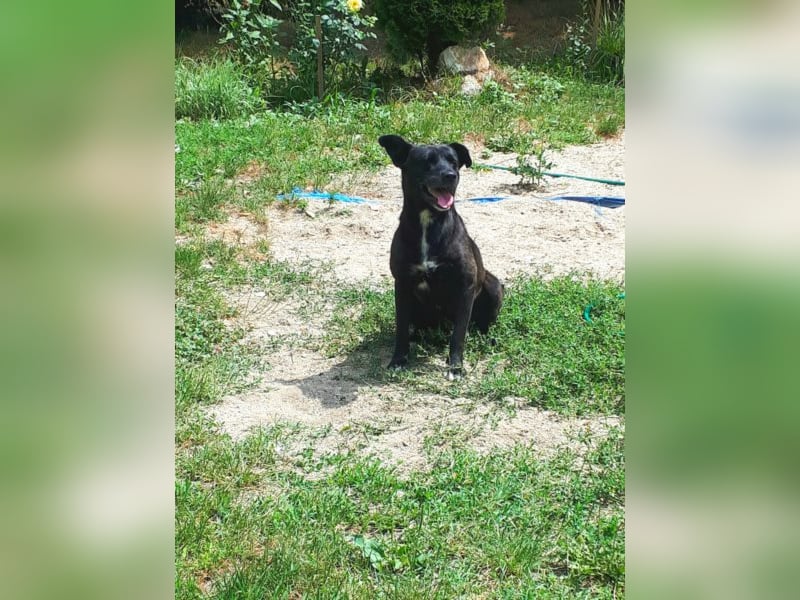 Leben pur - unsere Lotte <3