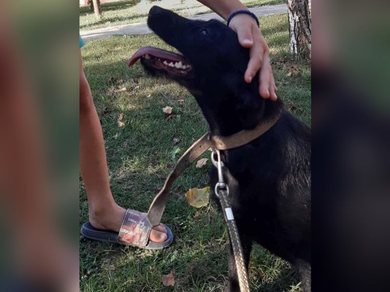 Ebony ❤️ verträglich, lieb, offen!