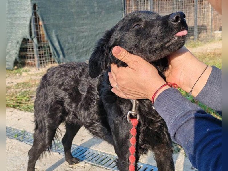 ♥Amber♥ noch schüchtern; braucht Verständnis & Liebe