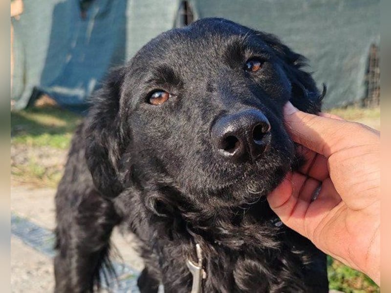 ♥Amber♥ noch schüchtern; braucht Verständnis & Liebe