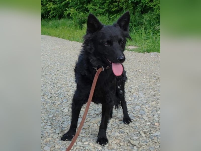 Schmusige Kaja ❤️ sucht Liebe, Sicherheit