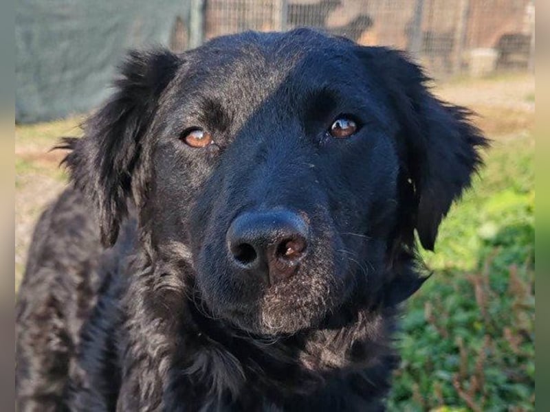 ♥Amber♥ noch schüchtern; braucht Verständnis & Liebe