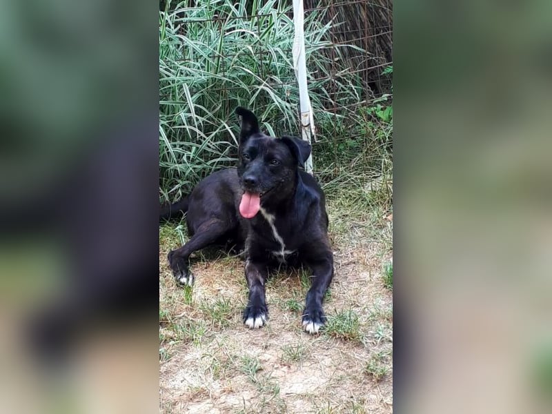 Leben pur - unsere Lotte <3