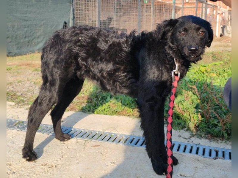 ♥Amber♥ noch schüchtern; braucht Verständnis & Liebe
