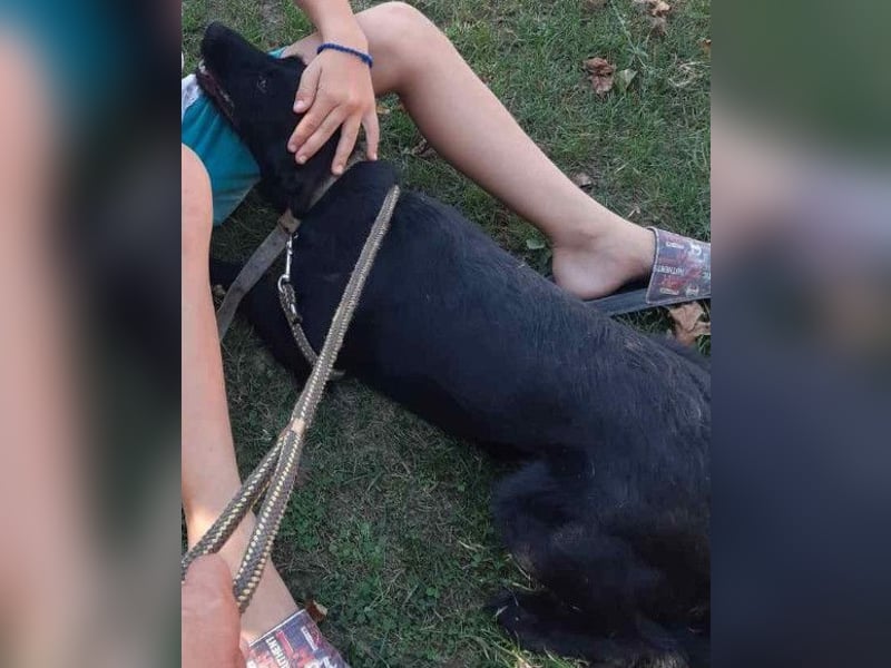 Ebony ❤️ verträglich, lieb, offen!