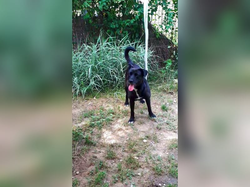 Leben pur - unsere Lotte <3