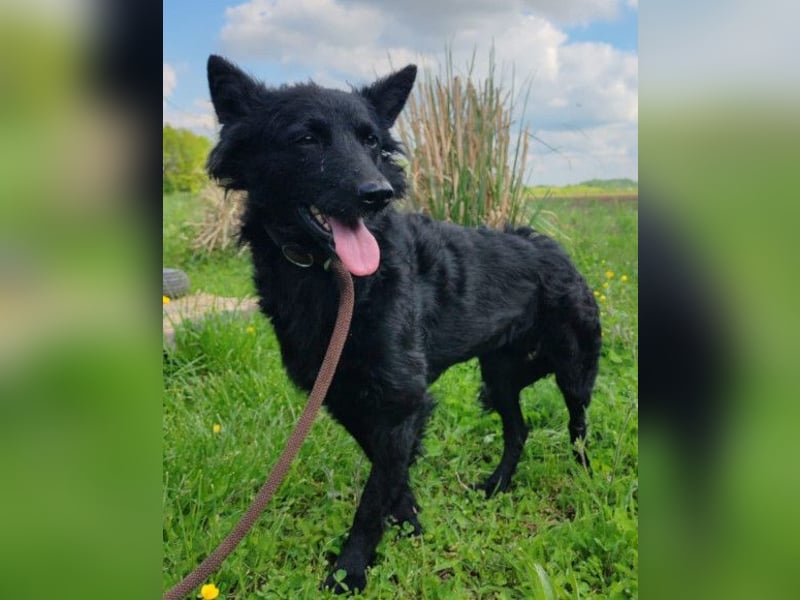 Schmusige Kaja ❤️ sucht Liebe, Sicherheit