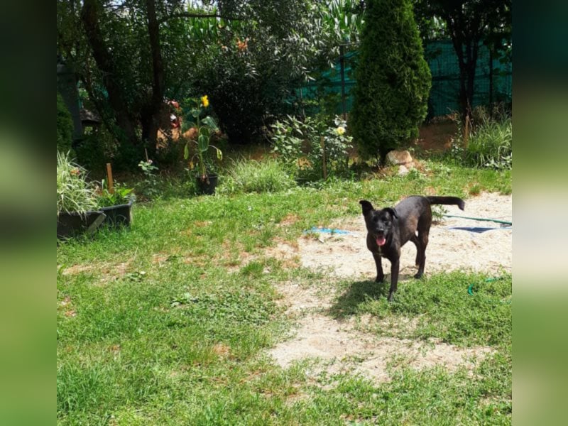 Leben pur - unsere Lotte <3