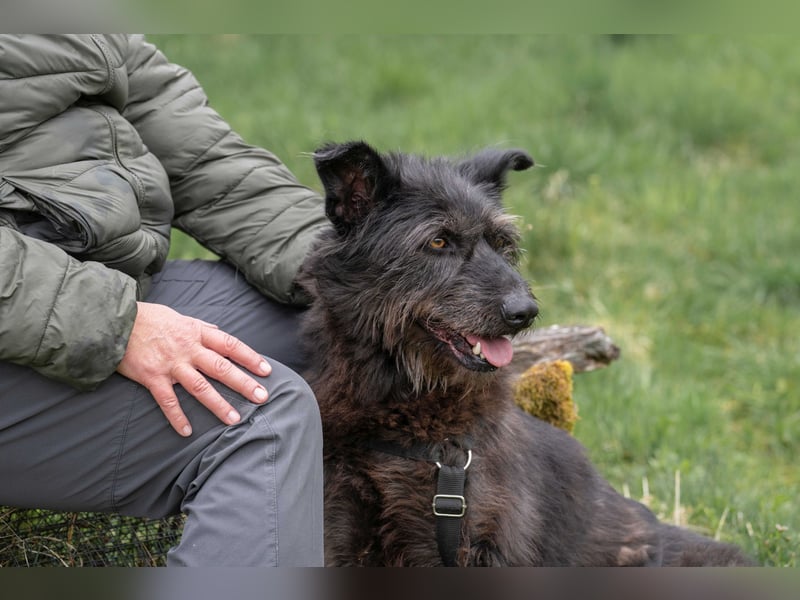 Lotte, geb. 2020, nette Dame sucht Begleitung