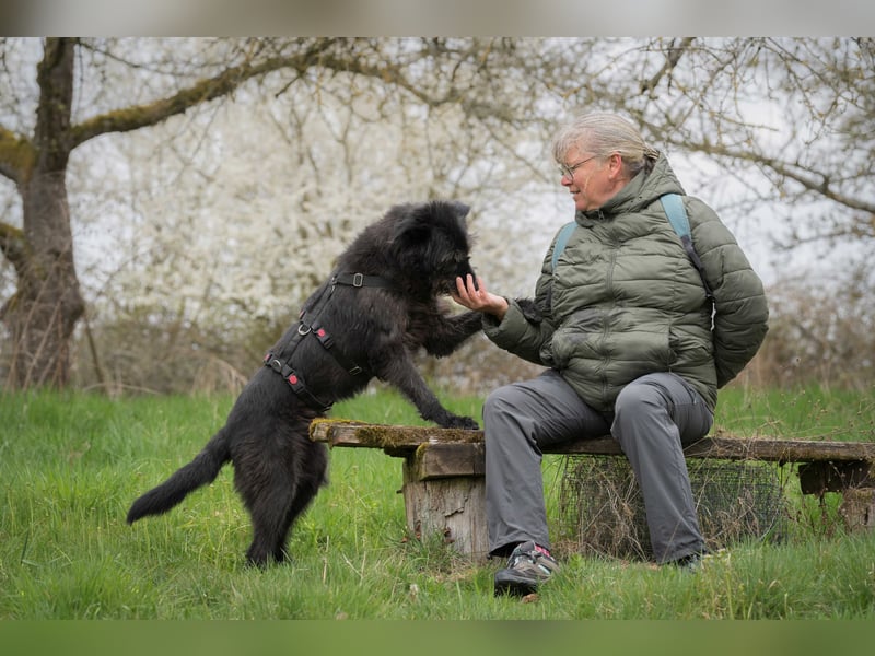 Lotte, geb. 2020, nette Dame sucht Begleitung