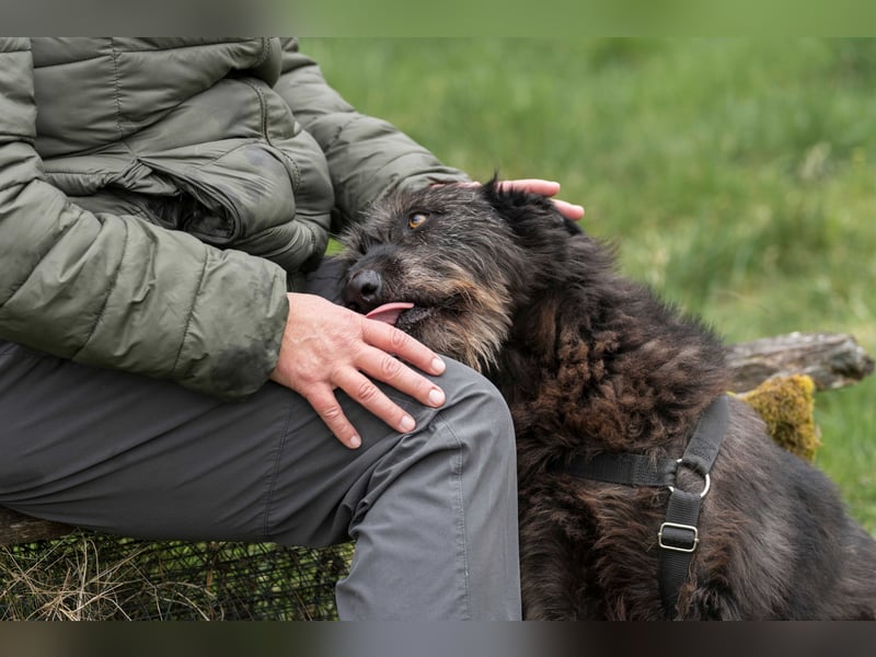 Lotte, geb. 2020, nette Dame sucht Begleitung