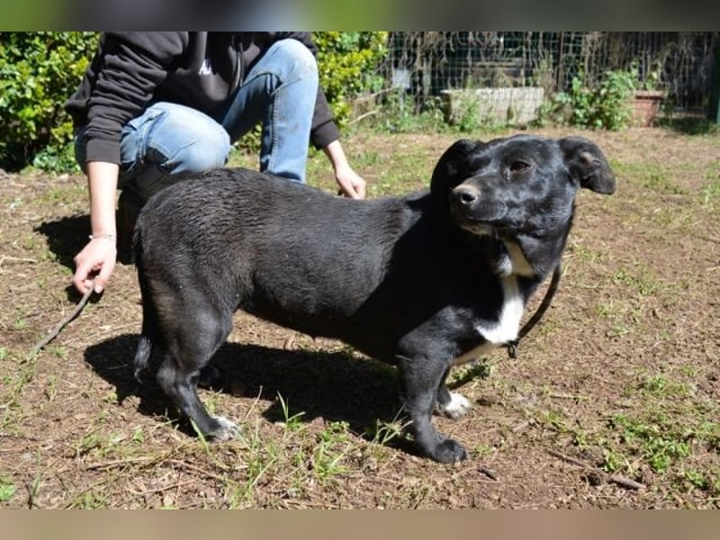 Nettie - was ne Wundertüte!