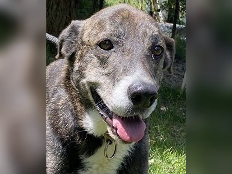 Lola - Das Herz hat seine Gründe