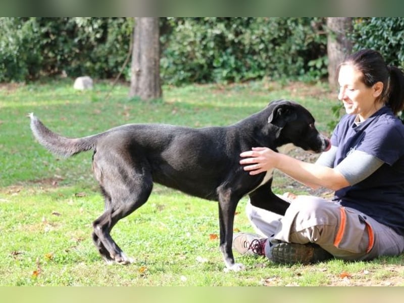Annetta - Seniorin braucht ganz dringend unsere Hilfe