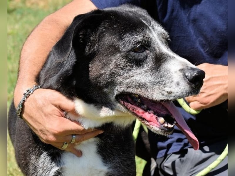 Annetta - Seniorin braucht ganz dringend unsere Hilfe