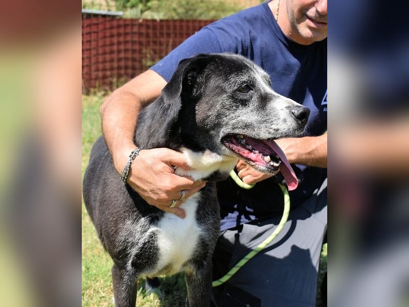 Annetta - Seniorin braucht ganz dringend unsere Hilfe