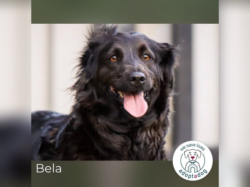 Bela: Stiller Mut und sanftes Wesen