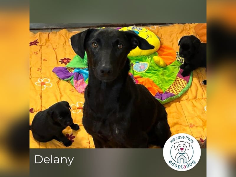 Delany: Fröhliches Mädchen