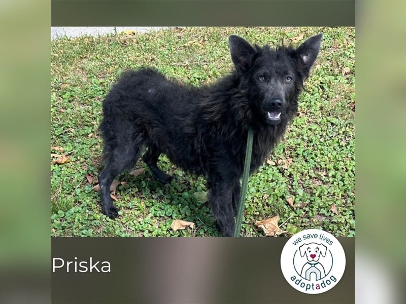 Priska: möchte endlich leben!