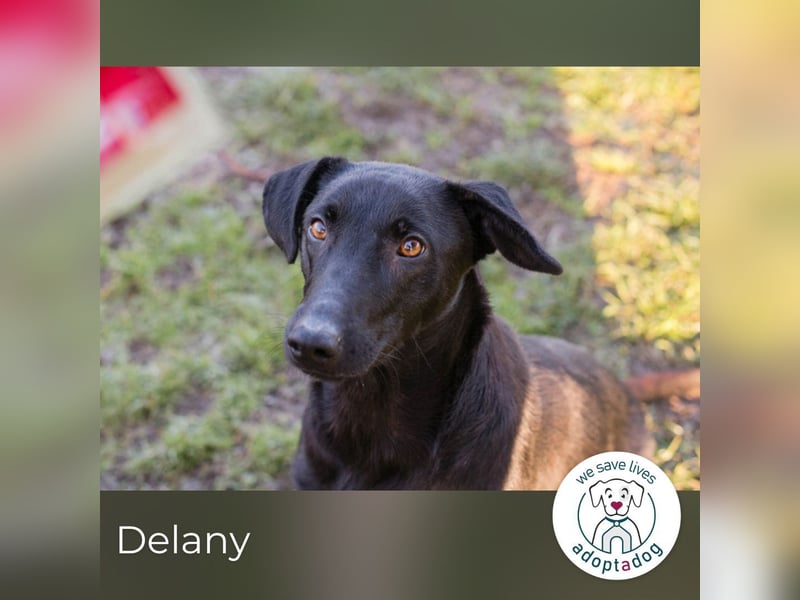 Delany: Fröhliches Mädchen