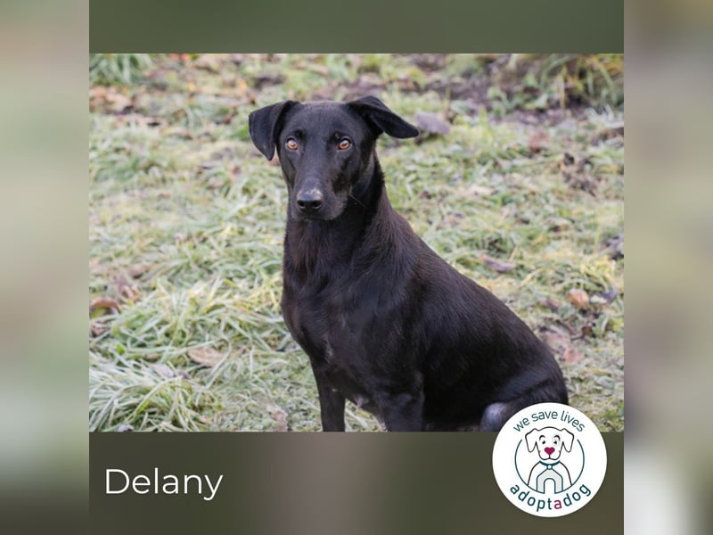 Delany: Fröhliches Mädchen