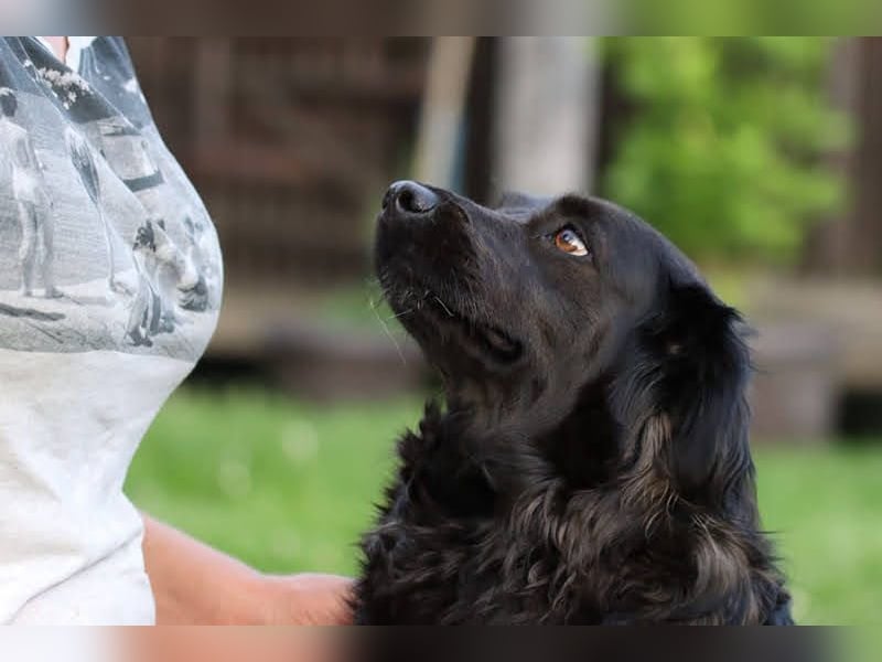 Bela: Stiller Mut und sanftes Wesen