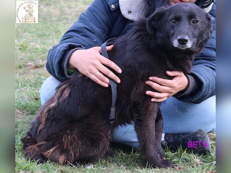 Beta – die junge Dame