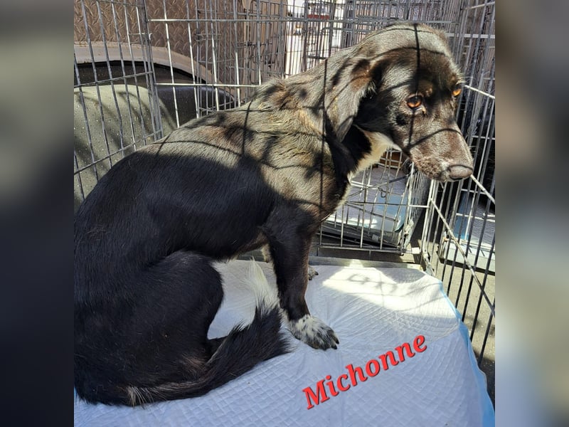 MICHONNE