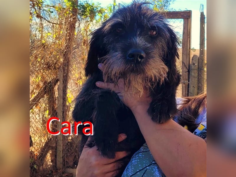 CARA ❤  wartet in 91567 Herrieden auf Dich