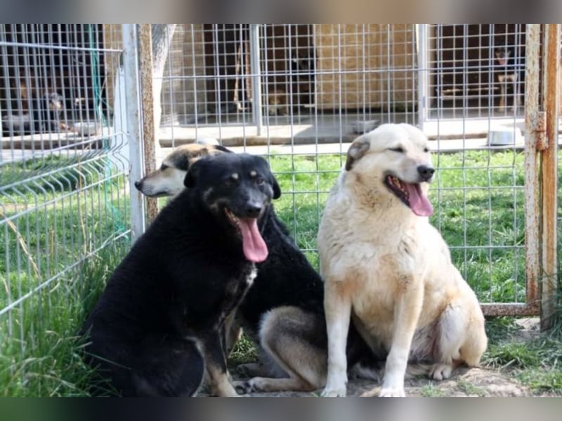 Lola, seit 7 Jahren hinter Gittern