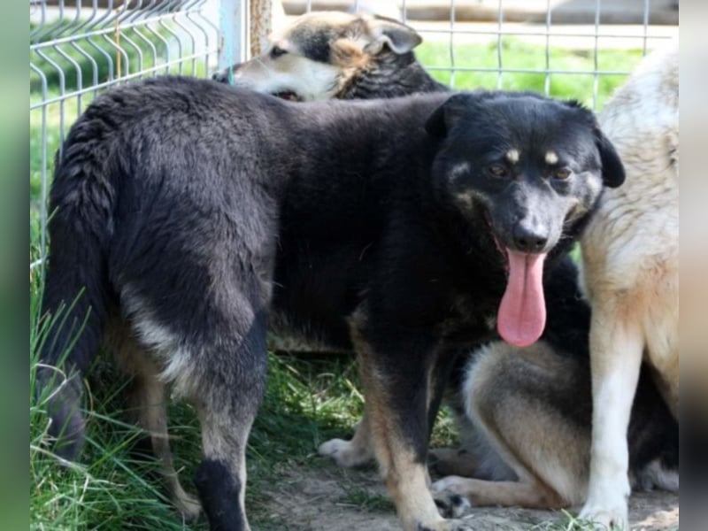 Lola, seit 7 Jahren hinter Gittern
