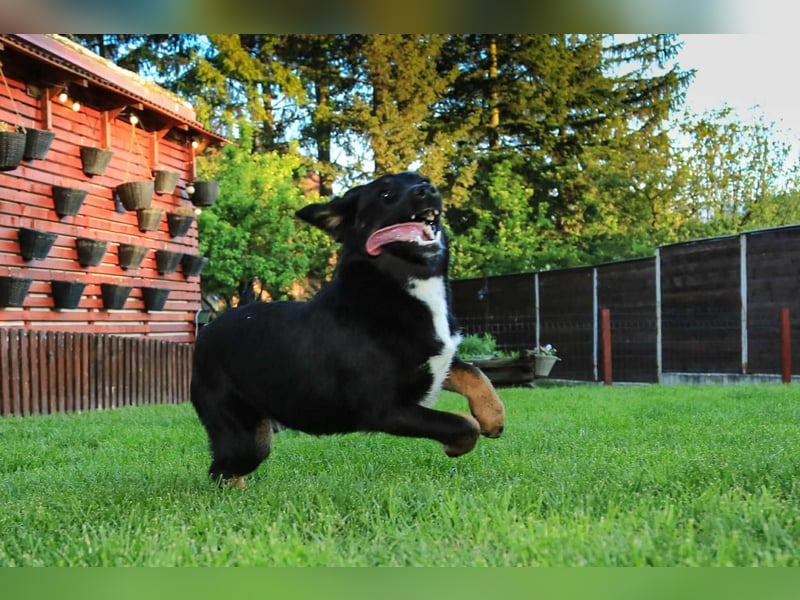 Nisha sucht Familienanschluss
