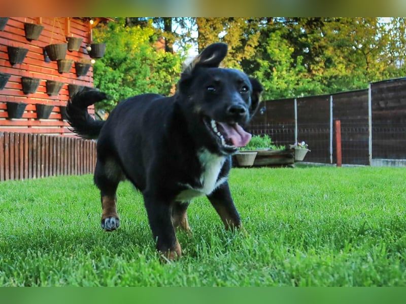 Nisha sucht Familienanschluss