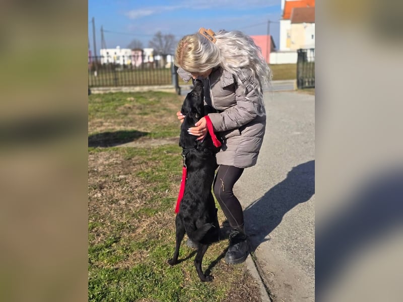 Tilda sucht ein Zuhause
