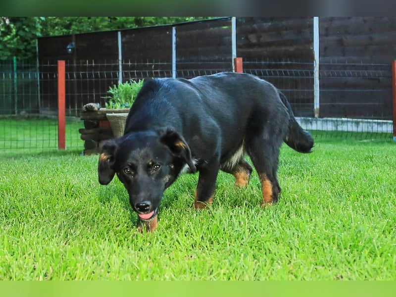 Nisha sucht Familienanschluss