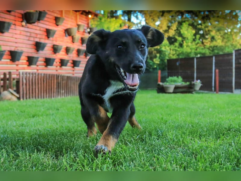 Nisha sucht Familienanschluss