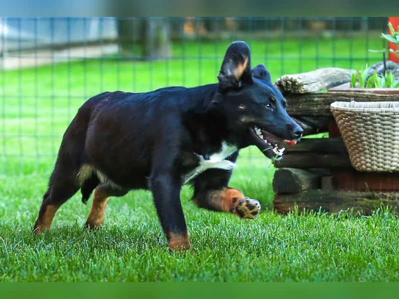 Nisha sucht Familienanschluss