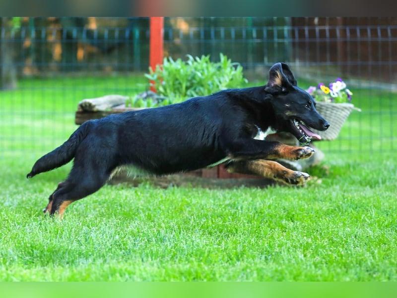 Nisha sucht Familienanschluss