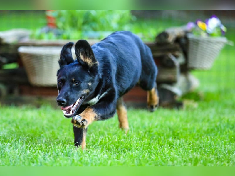 Nisha sucht Familienanschluss